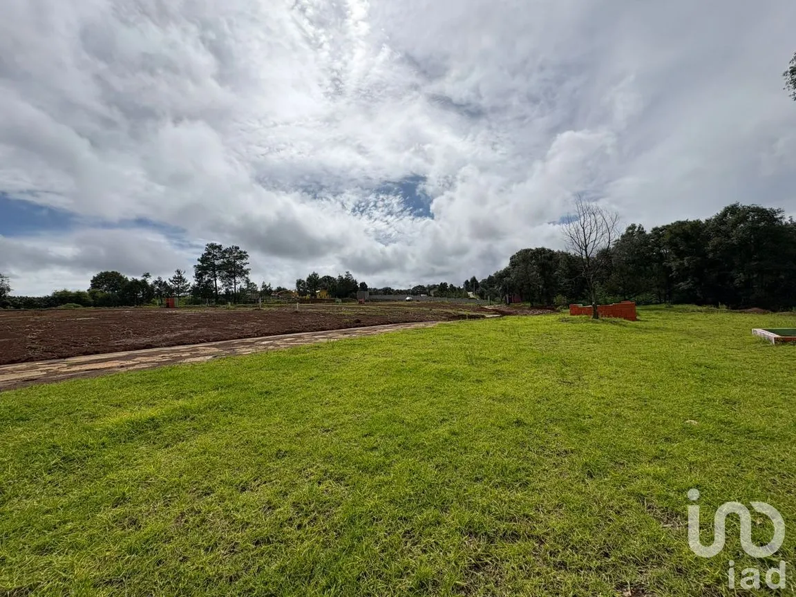 Terreno en Venta en Morelos, Omitlán de Juárez, Hidalgo | NEX-256366 | iad México | Foto 8 de 13