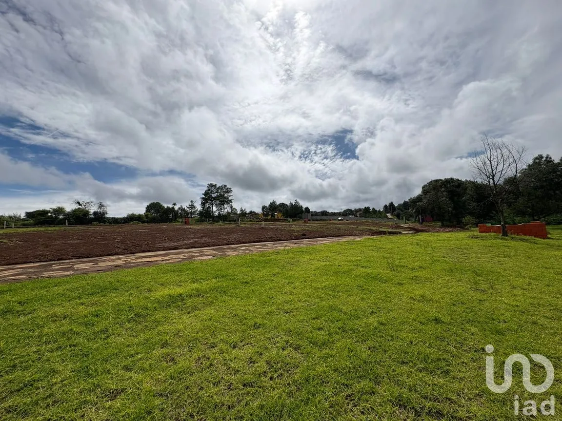 Terreno en Venta en Morelos, Omitlán de Juárez, Hidalgo | NEX-256366 | iad México | Foto 9 de 13