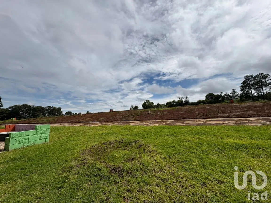 Terreno en Venta en Morelos, Omitlán de Juárez, Hidalgo | NEX-256366 | iad México | Foto 10 de 13