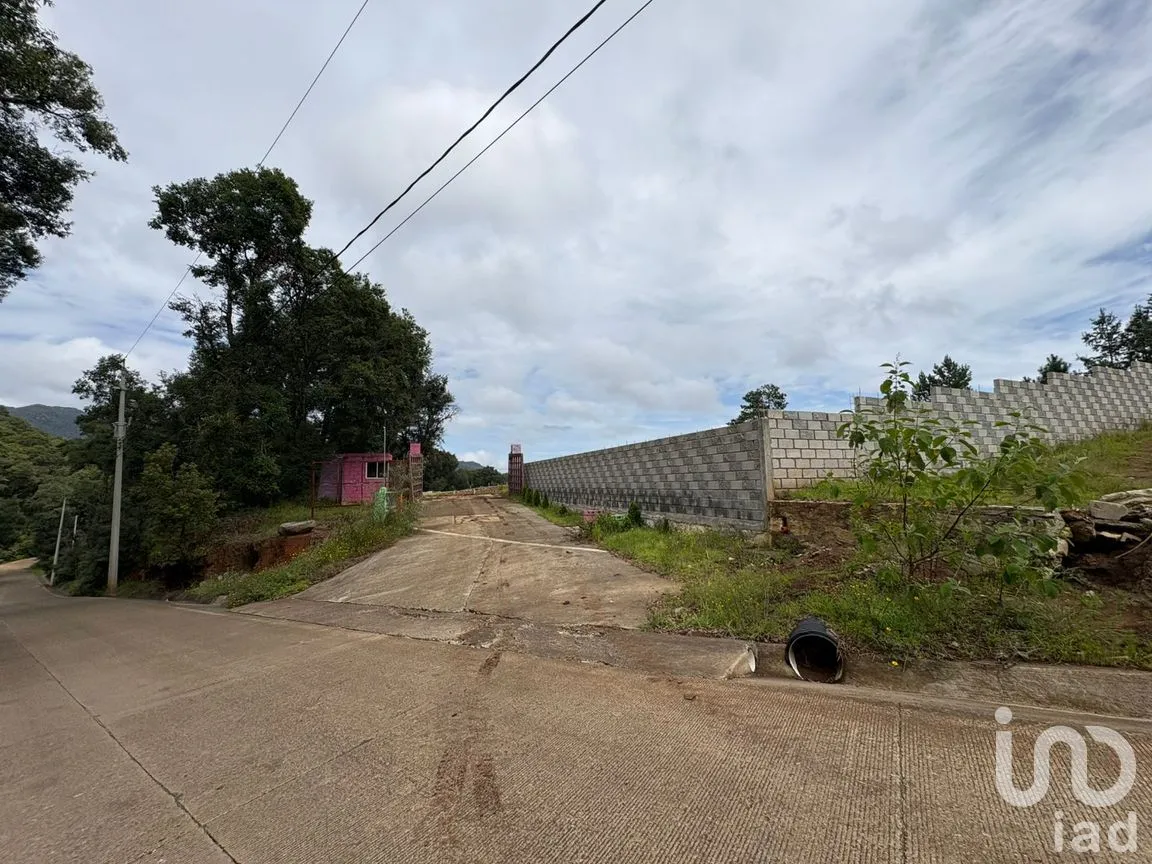 Terreno en Venta en Morelos, Omitlán de Juárez, Hidalgo | NEX-256366 | iad México | Foto 1 de 13