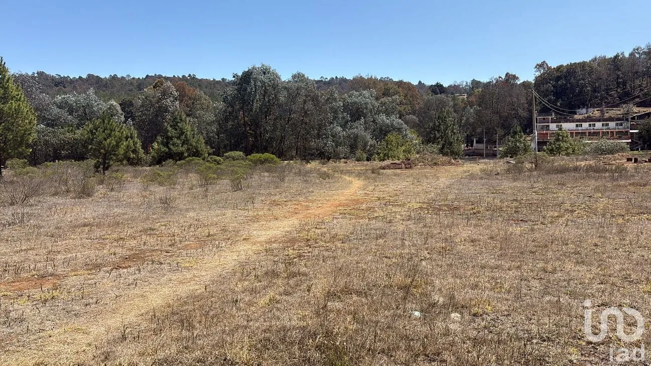 Terreno en Venta en San Pedro Tlachichilco, Acaxochitlán, Hidalgo | NEX-293261 | iad México | Foto 11 de 12