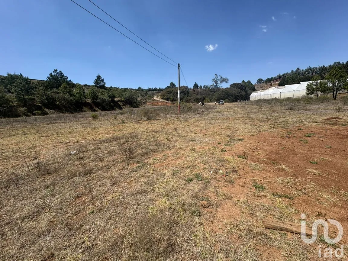 Terreno en Venta en San Pedro Tlachichilco, Acaxochitlán, Hidalgo | NEX-293261 | iad México | Foto 3 de 12