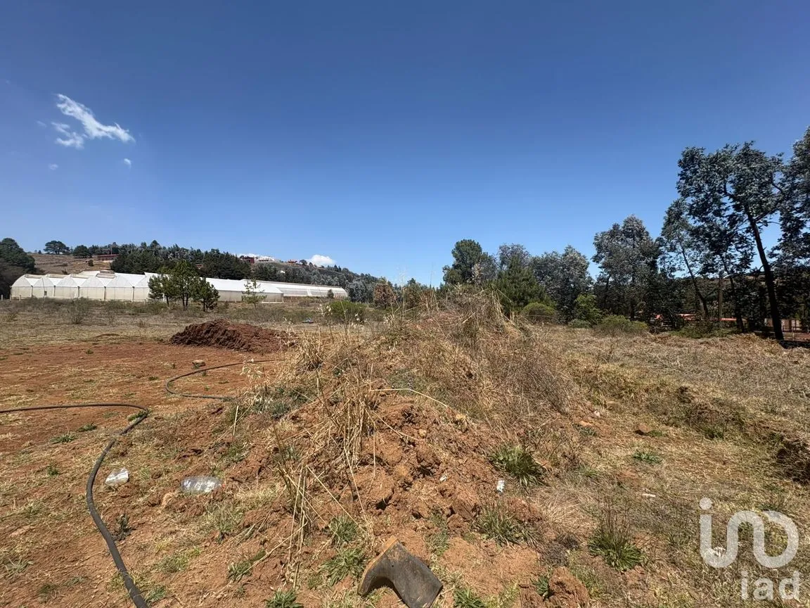 Terreno en Venta en San Pedro Tlachichilco, Acaxochitlán, Hidalgo | NEX-293261 | iad México | Foto 4 de 12