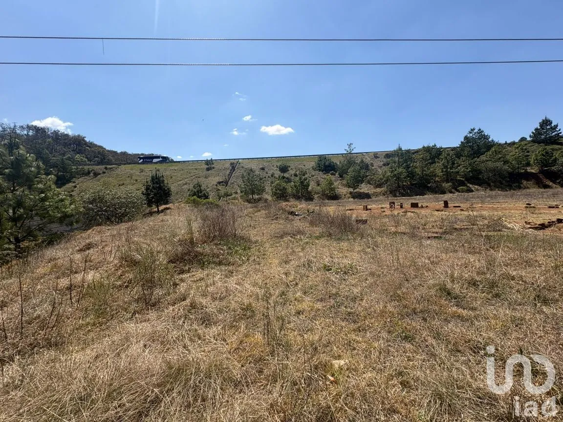 Terreno en Venta en San Pedro Tlachichilco, Acaxochitlán, Hidalgo | NEX-293261 | iad México | Foto 5 de 12