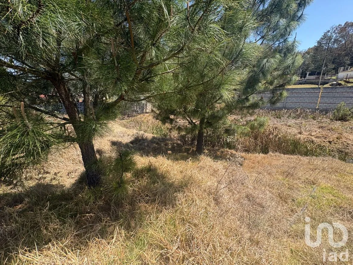 Terreno en Venta en San Pedro Tlachichilco, Acaxochitlán, Hidalgo | NEX-293261 | iad México | Foto 6 de 12
