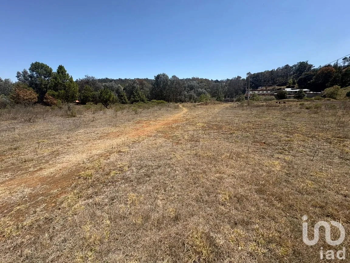 Terreno en Venta en San Pedro Tlachichilco, Acaxochitlán, Hidalgo | NEX-293261 | iad México | Foto 7 de 12