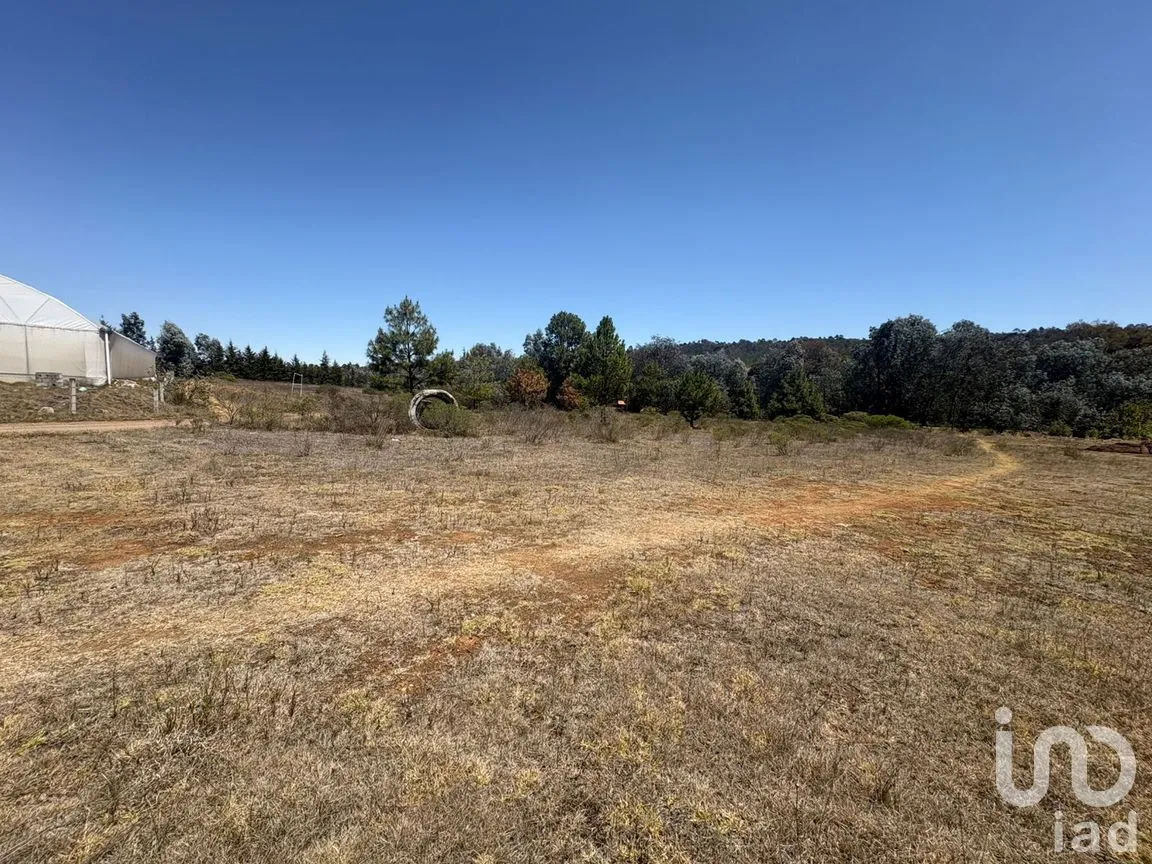 Terreno en Venta en San Pedro Tlachichilco, Acaxochitlán, Hidalgo | NEX-293261 | iad México | Foto 8 de 12