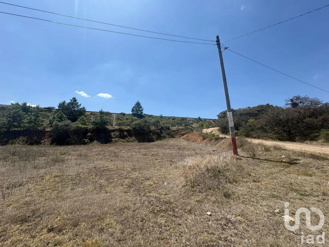 Terreno en Venta en San Pedro Tlachichilco, Acaxochitlán, Hidalgo | NEX-293261 | iad México | Foto 10 de 12