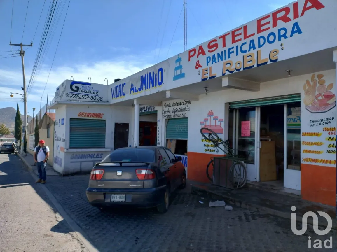 Local en Venta en Santa María la Calera, Mineral de la Reforma, Hidalgo | NEX-162356 | iad México | Foto 1 de 14