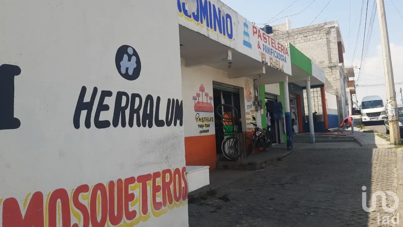 Local en Venta en Santa María la Calera, Mineral de la Reforma, Hidalgo | NEX-162356 | iad México | Foto 9 de 14