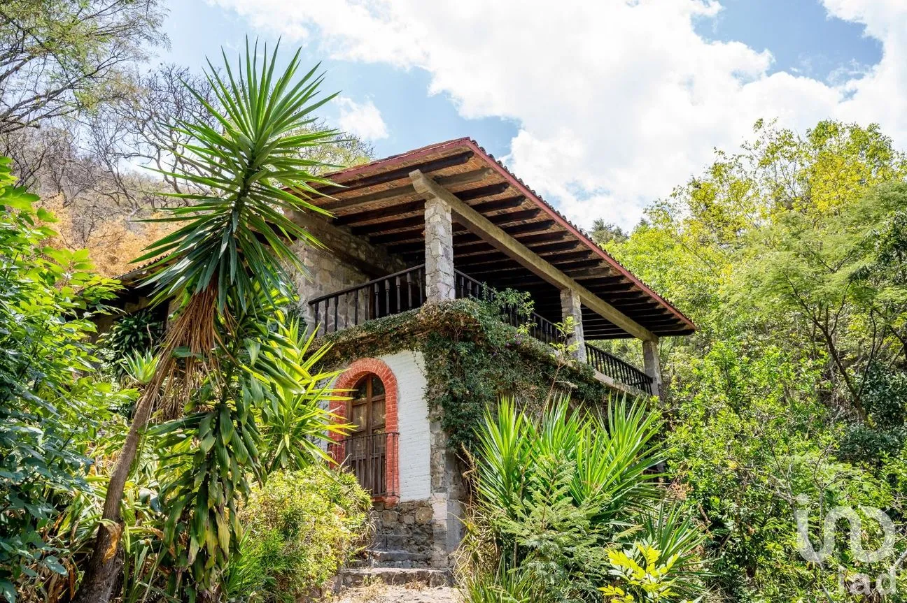 Terreno en Venta en Telpintla, Temascaltepec, México | NEX-218303 | iad México | Foto 19 de 19