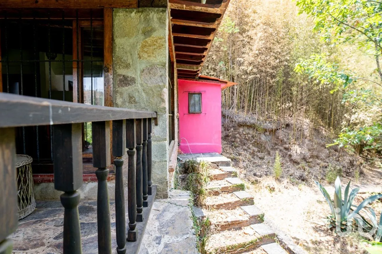 Terreno en Venta en Telpintla, Temascaltepec, México | NEX-218303 | iad México | Foto 5 de 19