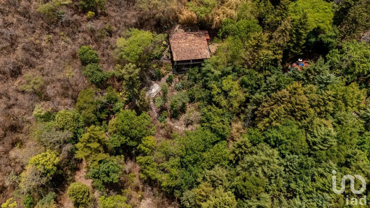 Terreno en Venta en Telpintla, Temascaltepec, México | NEX-218303 | iad México | Foto 7 de 19