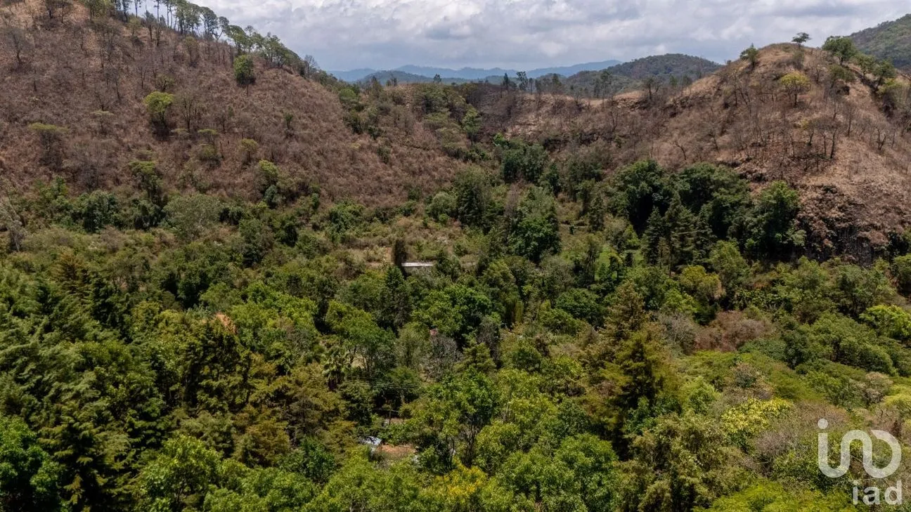 Terreno en Venta en Telpintla, Temascaltepec, México | NEX-218303 | iad México | Foto 8 de 19