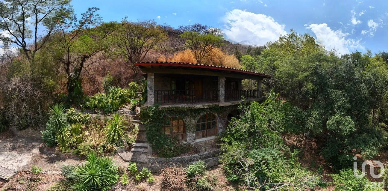 Terreno en Venta en Telpintla, Temascaltepec, México | NEX-218303 | iad México | Foto 10 de 19