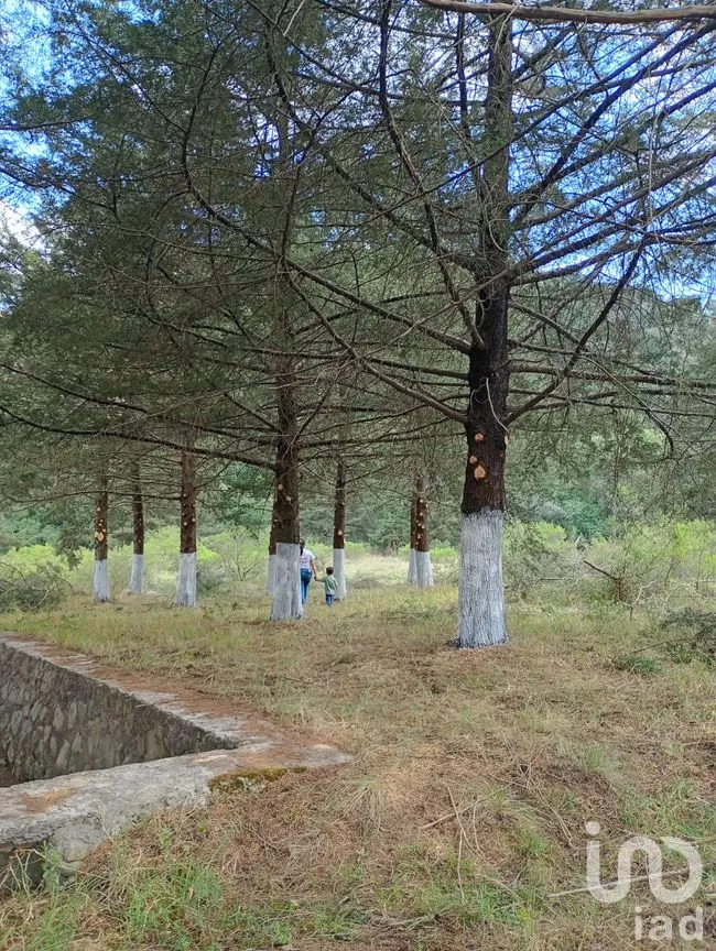 Terreno en Venta en Transfiguración, Nicolás Romero, México | NEX-303151 | iad México | Foto 3 de 6