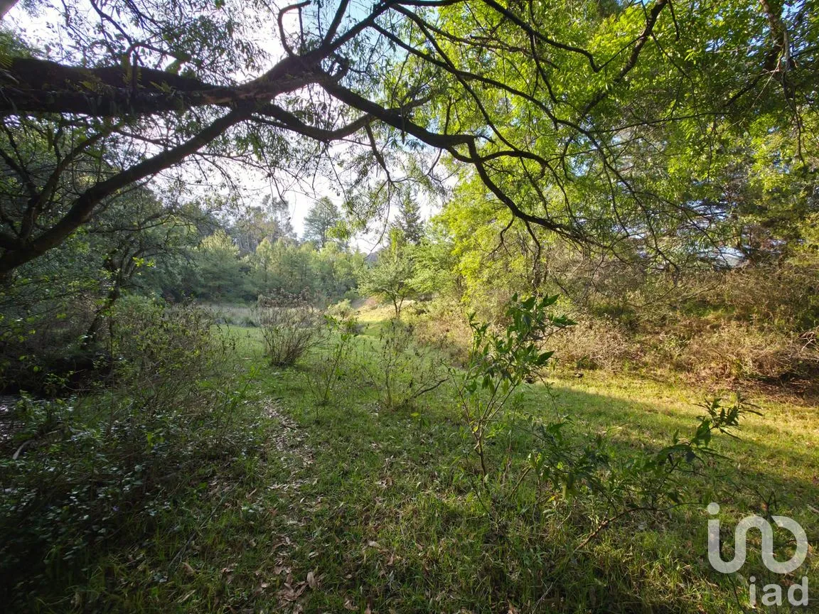 Terreno en Venta en Transfiguración, Nicolás Romero, México | NEX-303151 | iad México | Foto 4 de 6