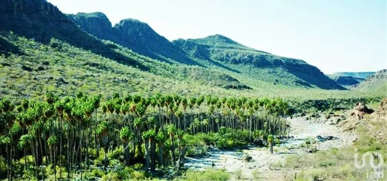 Terreno en Venta en San Miguel de Comondú, Comondú, Baja California Sur | NEX-11202 | iad México | Foto 9 de 11