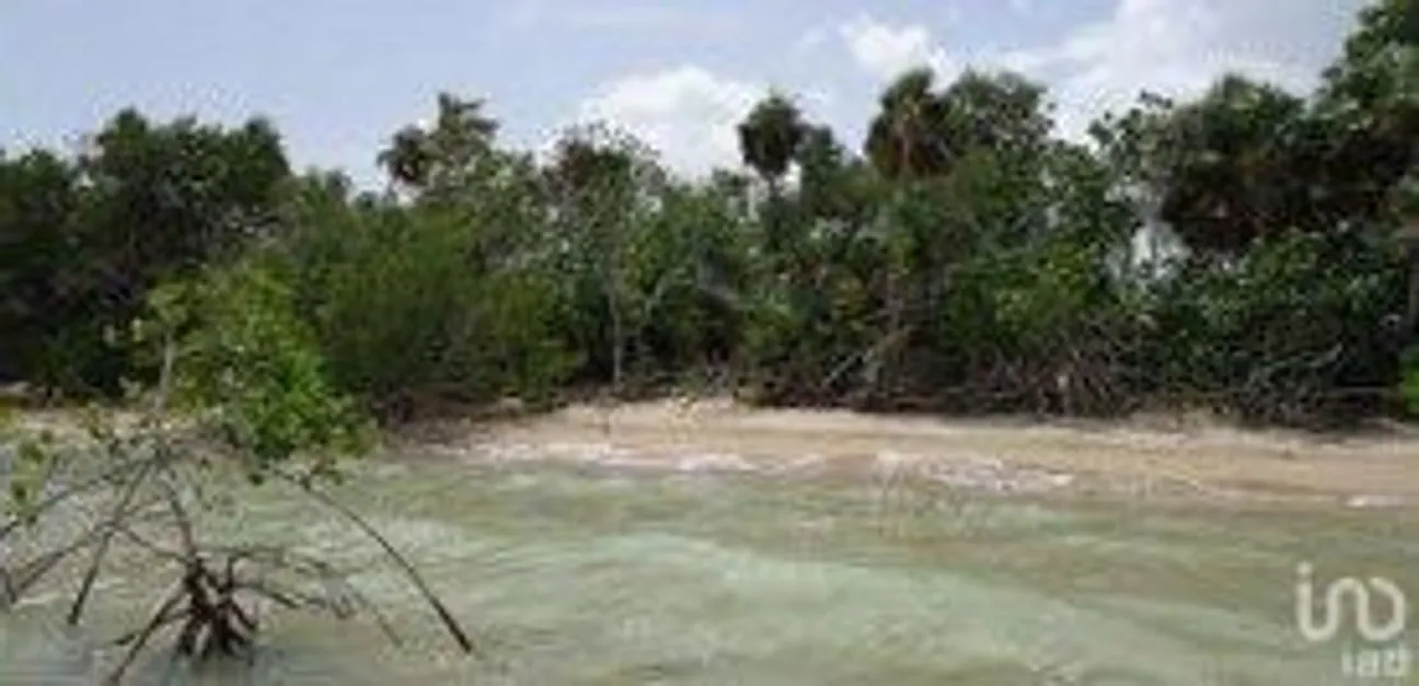 Terreno en Venta en 5 de Mayo, Bacalar, Quintana Roo | NEX-2180 | iad México | Foto 1 de 3