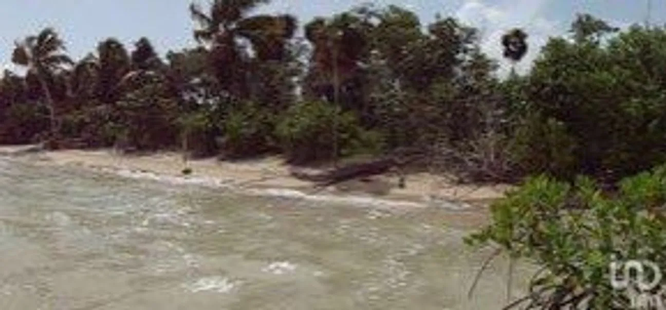 Terreno en Venta en 5 de Mayo, Bacalar, Quintana Roo | NEX-2180 | iad México | Foto 2 de 3