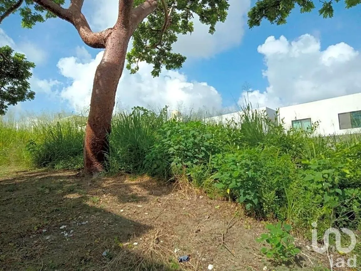 Terreno en Venta en Real Mandinga, Alvarado, Veracruz de Ignacio de la Llave | NEX-198563 | iad México | Foto 9 de 10