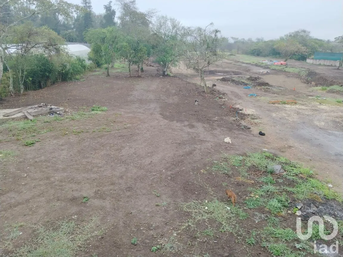 Terreno en Venta en El Lencero, Emiliano Zapata, Veracruz de Ignacio de la Llave | NEX-248499 | iad México | Foto 26 de 28