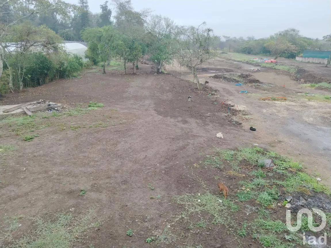 Terreno en Venta en El Lencero, Emiliano Zapata, Veracruz de Ignacio de la Llave | NEX-262365 | iad México | Foto 15 de 17