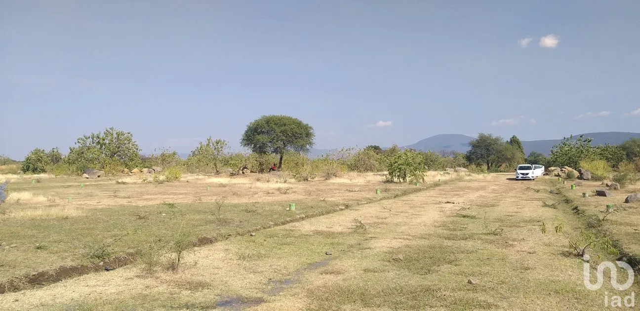 Terreno en Venta en La Sabana (San Juan la Sabana), Atlixco, Puebla | NEX-161110 | iad México | Foto 2 de 7