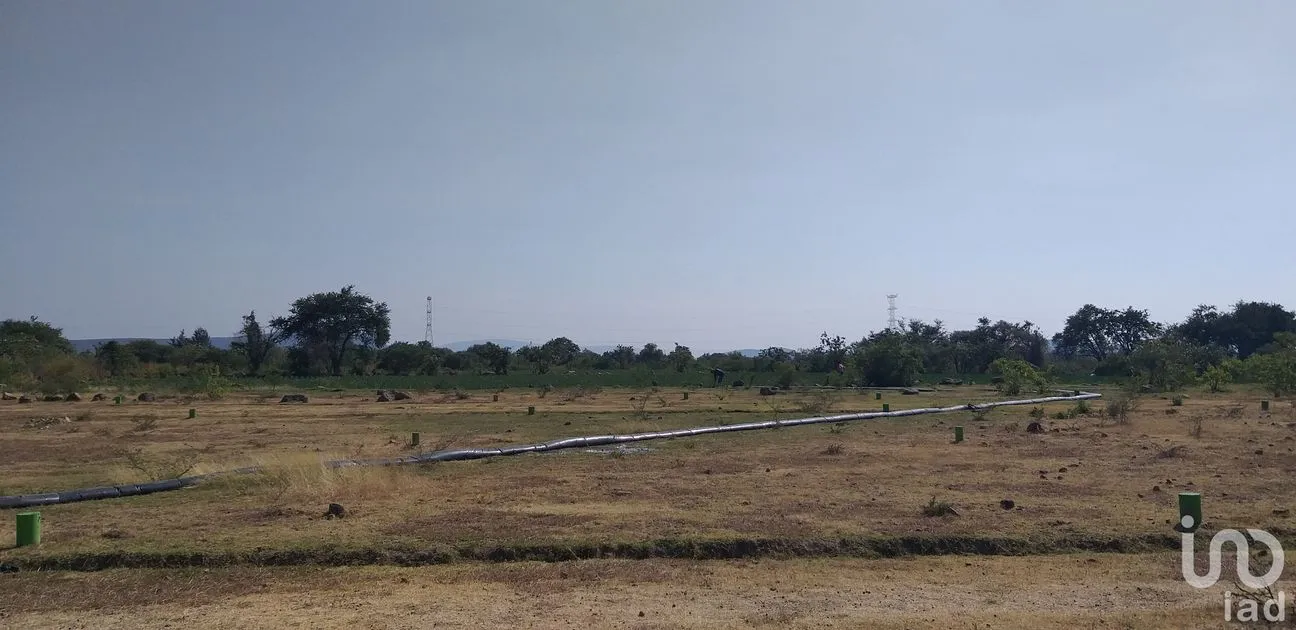 Terreno en Venta en La Sabana (San Juan la Sabana), Atlixco, Puebla | NEX-161110 | iad México | Foto 5 de 7