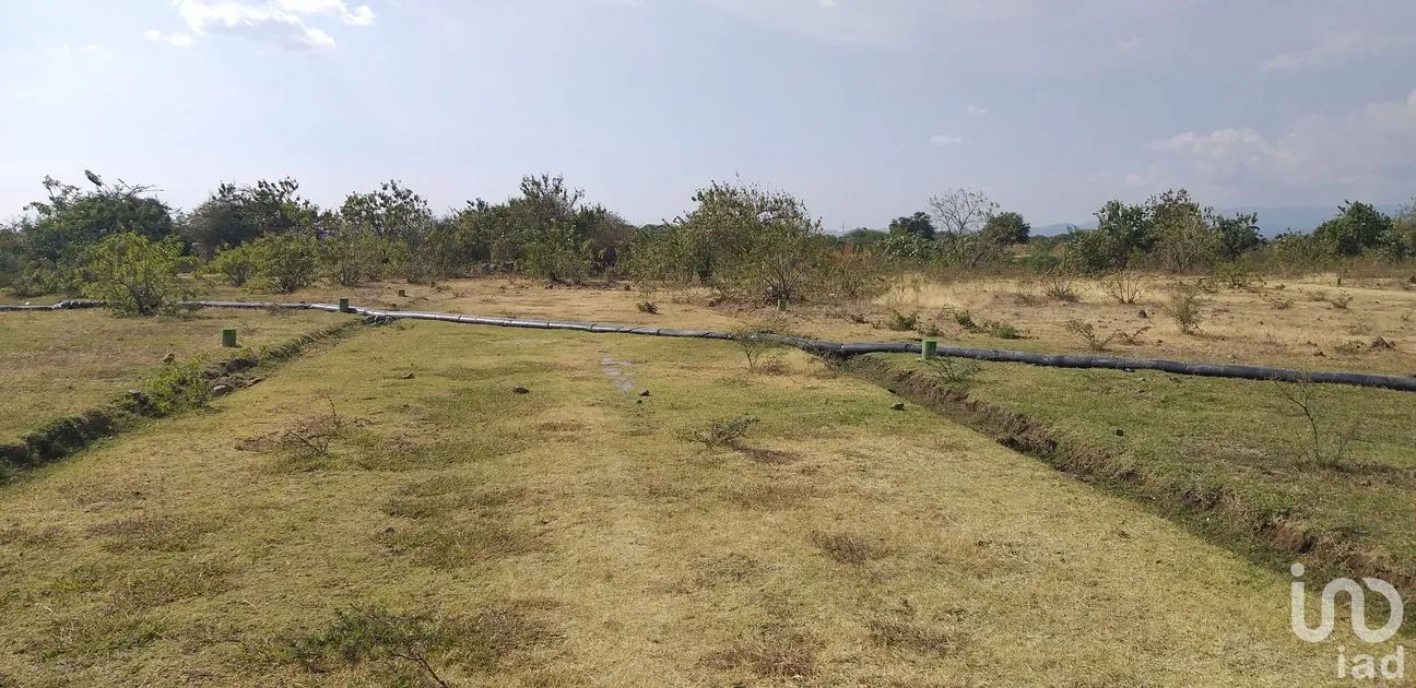 Terreno en Venta en La Sabana (San Juan la Sabana), Atlixco, Puebla | NEX-161110 | iad México | Foto 6 de 7