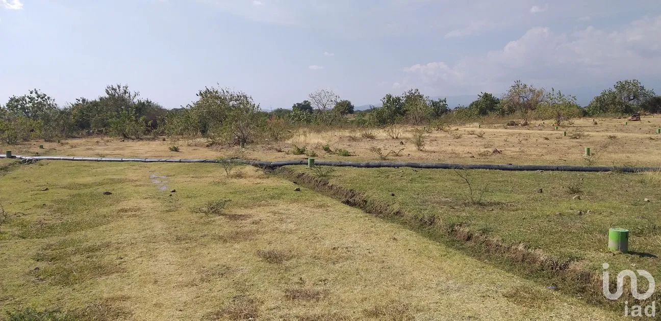 Terreno en Venta en La Sabana (San Juan la Sabana), Atlixco, Puebla | NEX-161110 | iad México | Foto 7 de 7
