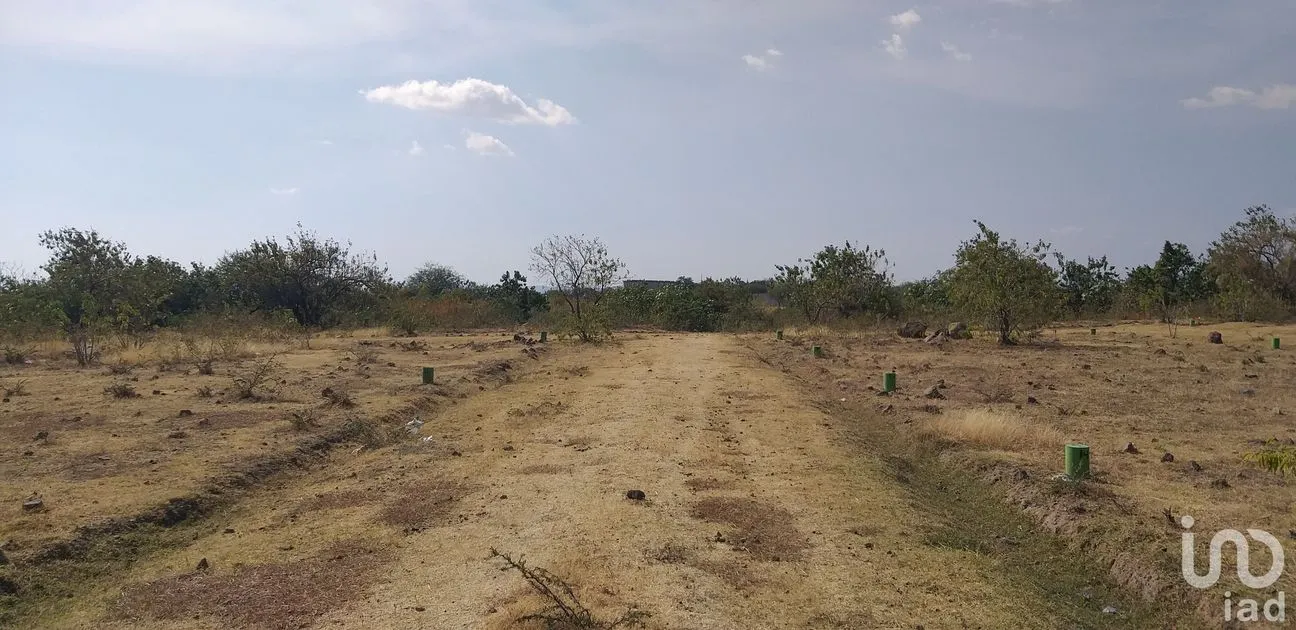 Terreno en Venta en La Sabana (San Juan la Sabana), Atlixco, Puebla | NEX-161110 | iad México | Foto 3 de 7