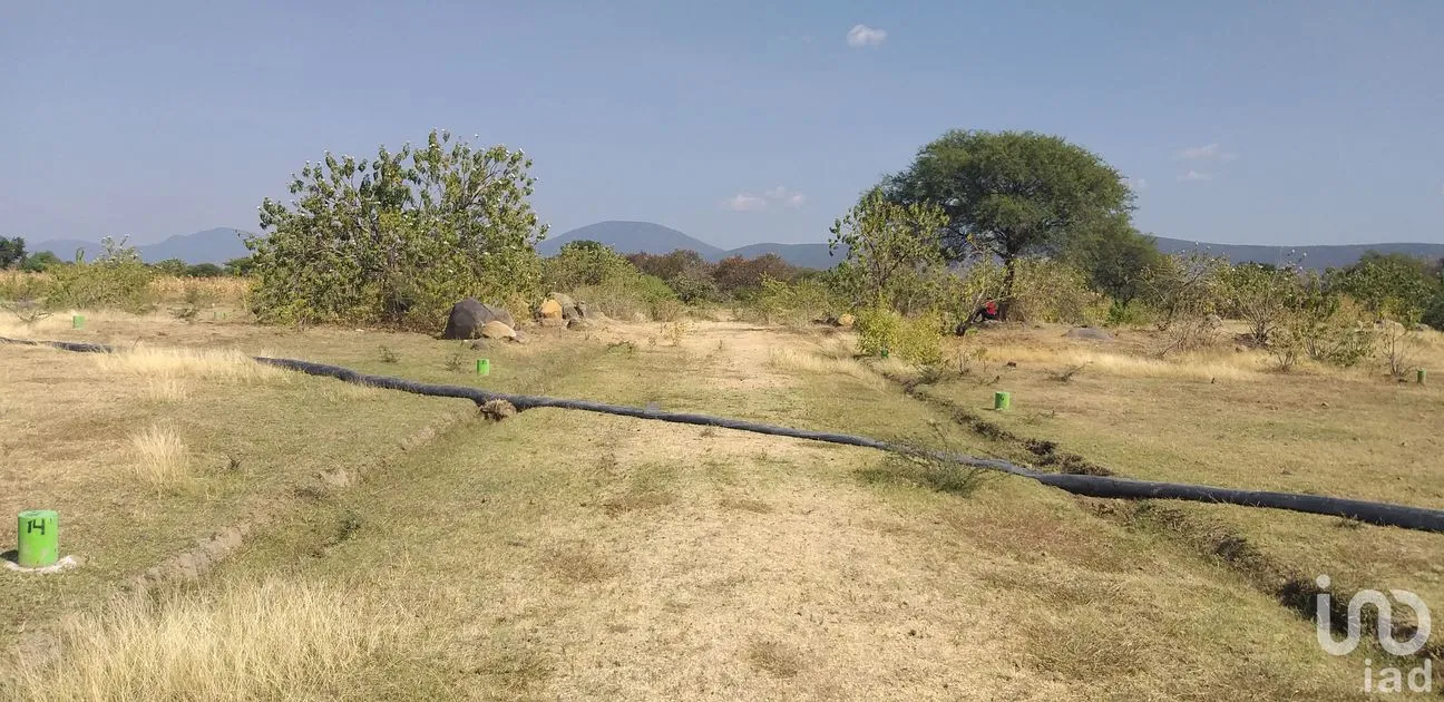 Terreno en Venta en La Sabana (San Juan la Sabana), Atlixco, Puebla | NEX-161110 | iad México | Foto 4 de 7