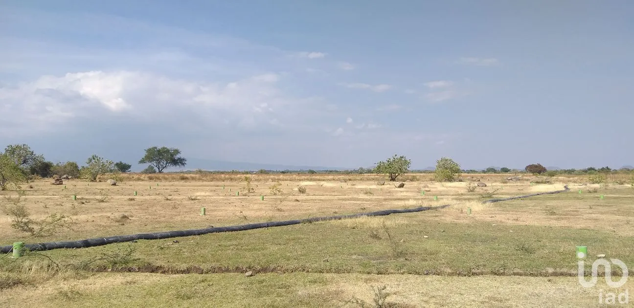 Terreno en Venta en La Sabana (San Juan la Sabana), Atlixco, Puebla | NEX-161110 | iad México | Foto 1 de 7