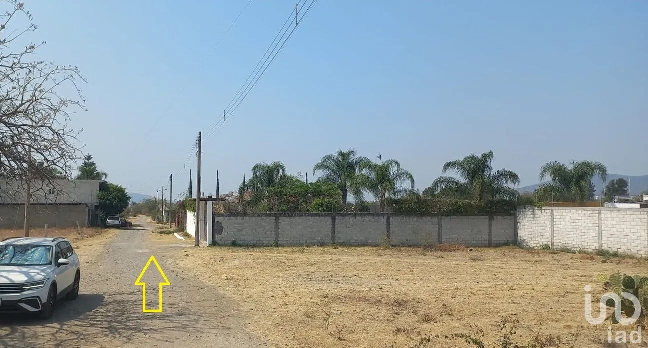 Terreno en Venta en Tepeojuma, Tepeojuma, Puebla | NEX-248060 | iad México | Foto 3 de 12