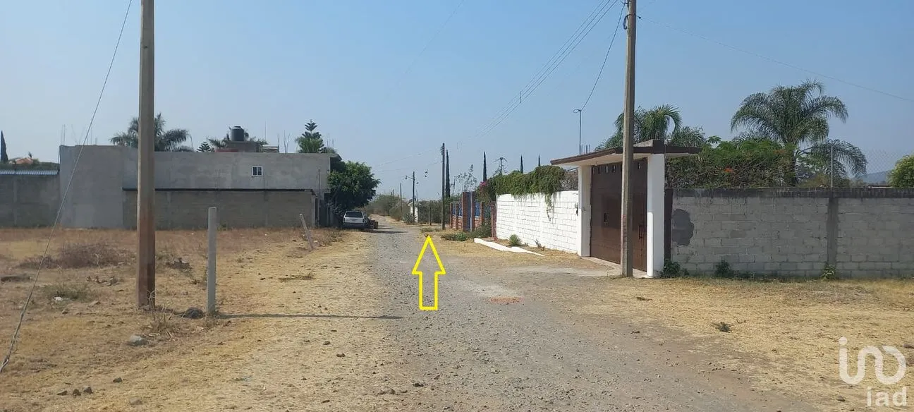 Terreno en Venta en Tepeojuma, Tepeojuma, Puebla | NEX-248060 | iad México | Foto 4 de 12