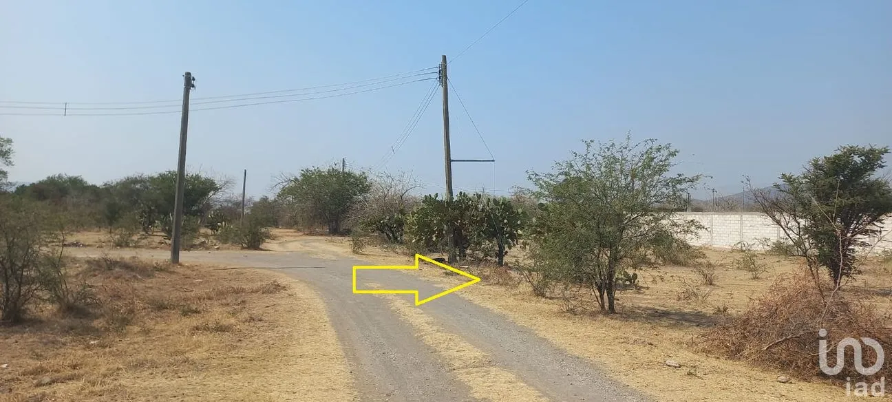 Terreno en Venta en Tepeojuma, Tepeojuma, Puebla | NEX-248060 | iad México | Foto 5 de 12