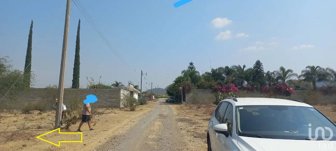 Terreno en Venta en Tepeojuma, Tepeojuma, Puebla | NEX-248060 | iad México | Foto 6 de 12