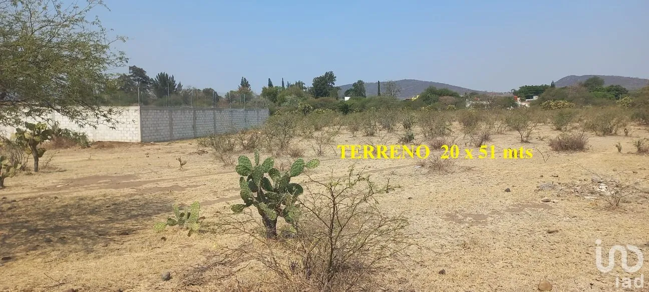 Terreno en Venta en Tepeojuma, Tepeojuma, Puebla | NEX-248060 | iad México | Foto 7 de 12