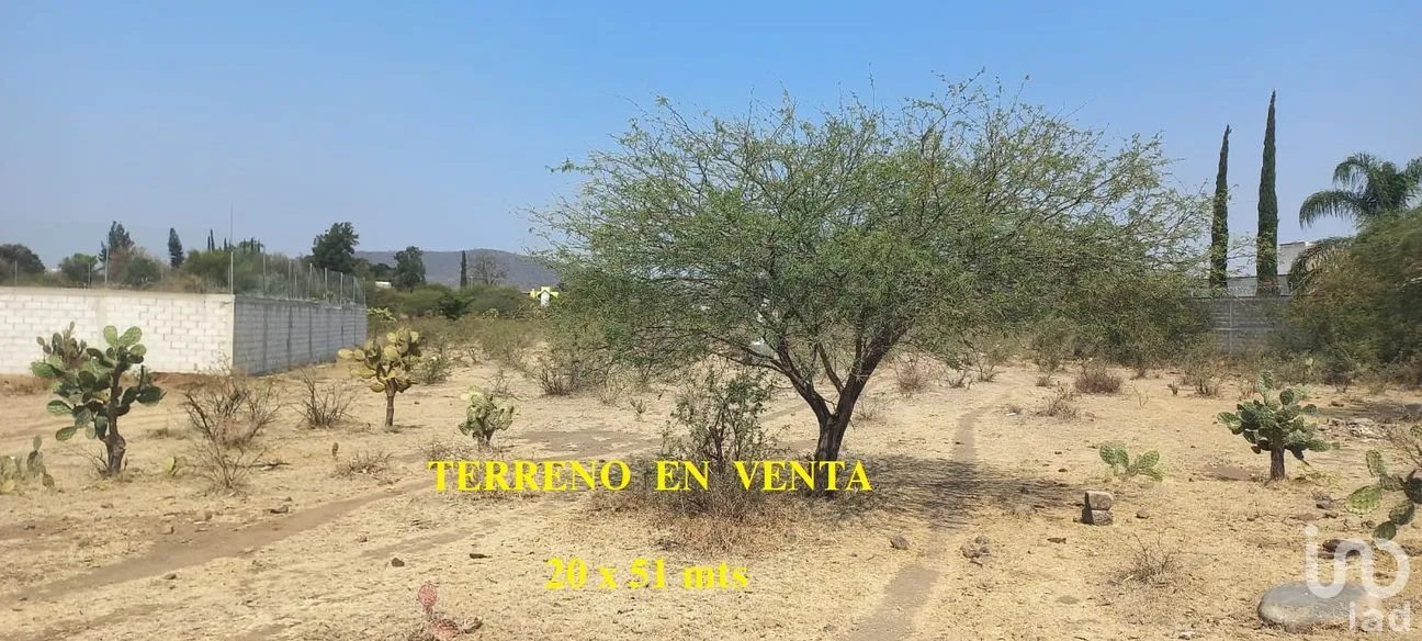 Terreno en Venta en Tepeojuma, Tepeojuma, Puebla | NEX-248060 | iad México | Foto 8 de 12