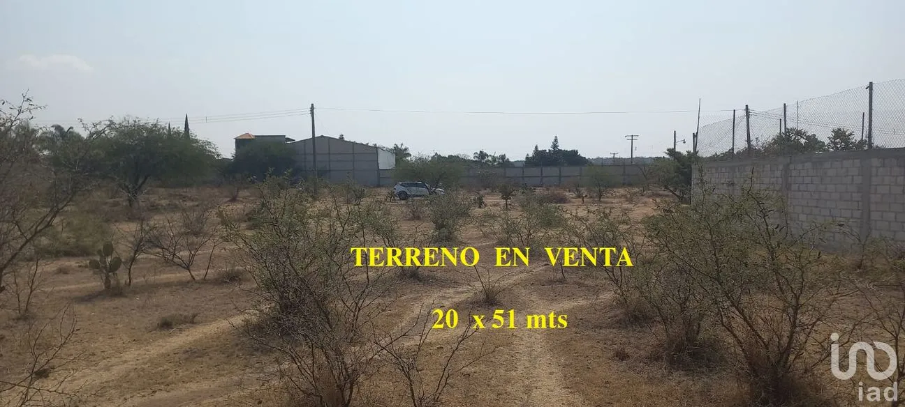 Terreno en Venta en Tepeojuma, Tepeojuma, Puebla | NEX-248060 | iad México | Foto 9 de 12