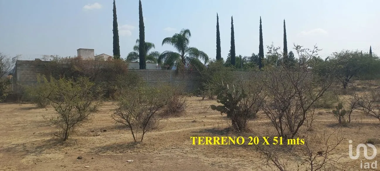 Terreno en Venta en Tepeojuma, Tepeojuma, Puebla | NEX-248060 | iad México | Foto 10 de 12