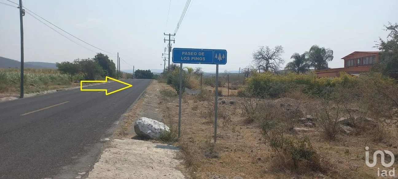 Terreno en Venta en Tepeojuma, Tepeojuma, Puebla | NEX-248060 | iad México | Foto 1 de 12