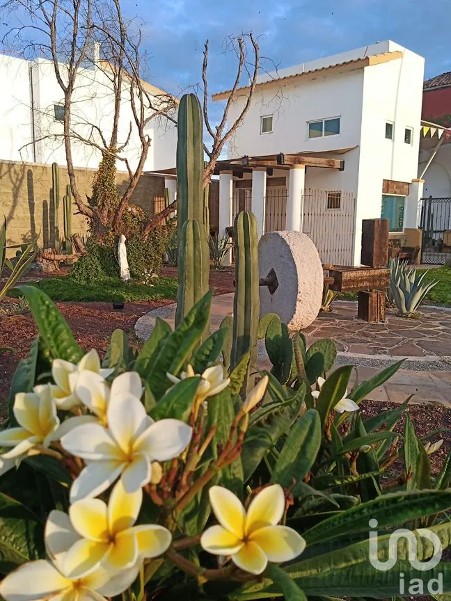 Terreno en Venta en San Francisco de la Charca, Irapuato, Guanajuato | NEX-176058 | iad México | Foto 7 de 9