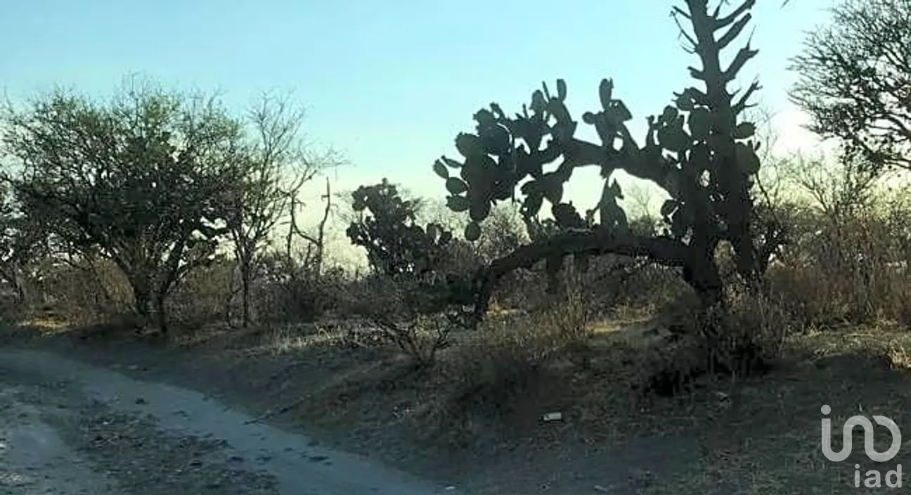 Terreno en Venta en Estancia de Canal, San Miguel de Allende, Guanajuato | NEX-249515 | iad México | Foto 5 de 9