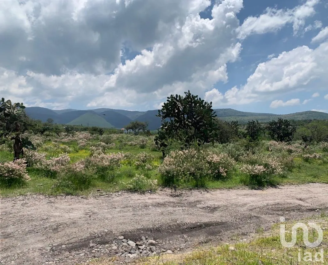 Terreno en Venta en Estancia de Canal, San Miguel de Allende, Guanajuato | NEX-249515 | iad México | Foto 7 de 9