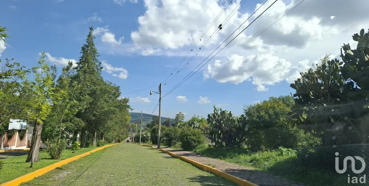 Terreno en Venta en Presa Escondida, Tepeji del Río de Ocampo, Hidalgo | NEX-253212 | iad México | Foto 3 de 8