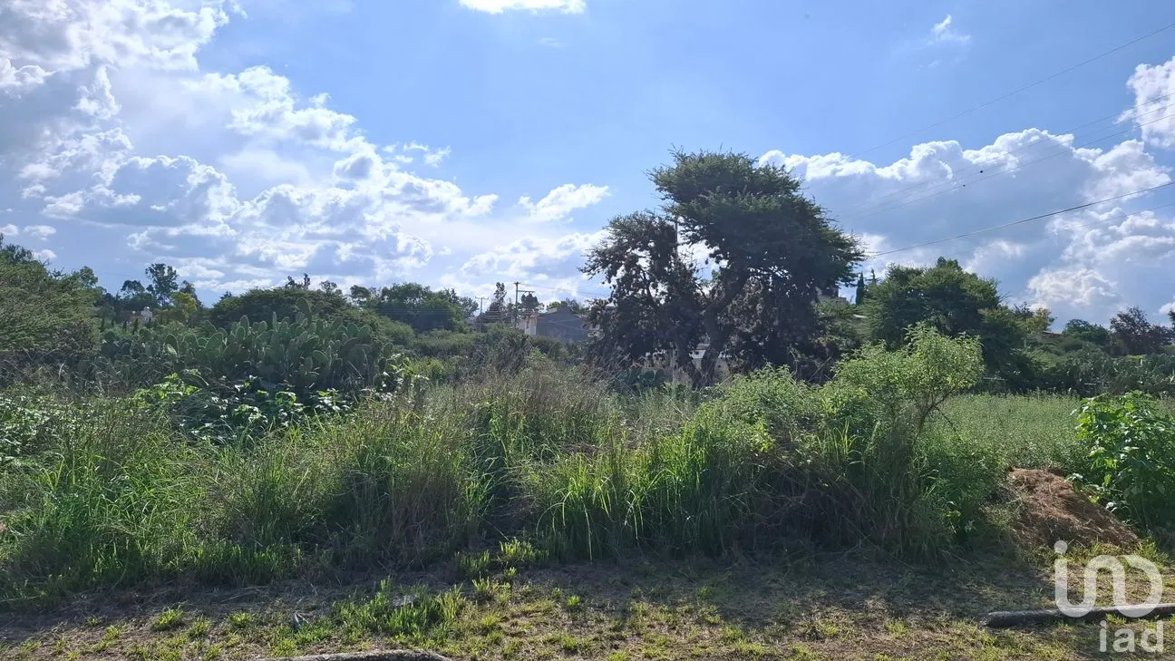 Terreno en Venta en Presa Escondida, Tepeji del Río de Ocampo, Hidalgo | NEX-253212 | iad México | Foto 7 de 8