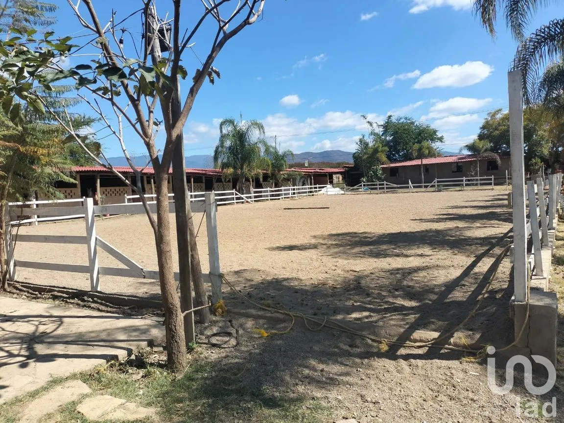Terreno en Venta en La Trinidad, Tlalixtac de Cabrera, Oaxaca | NEX-236117 | iad México | Foto 2 de 13