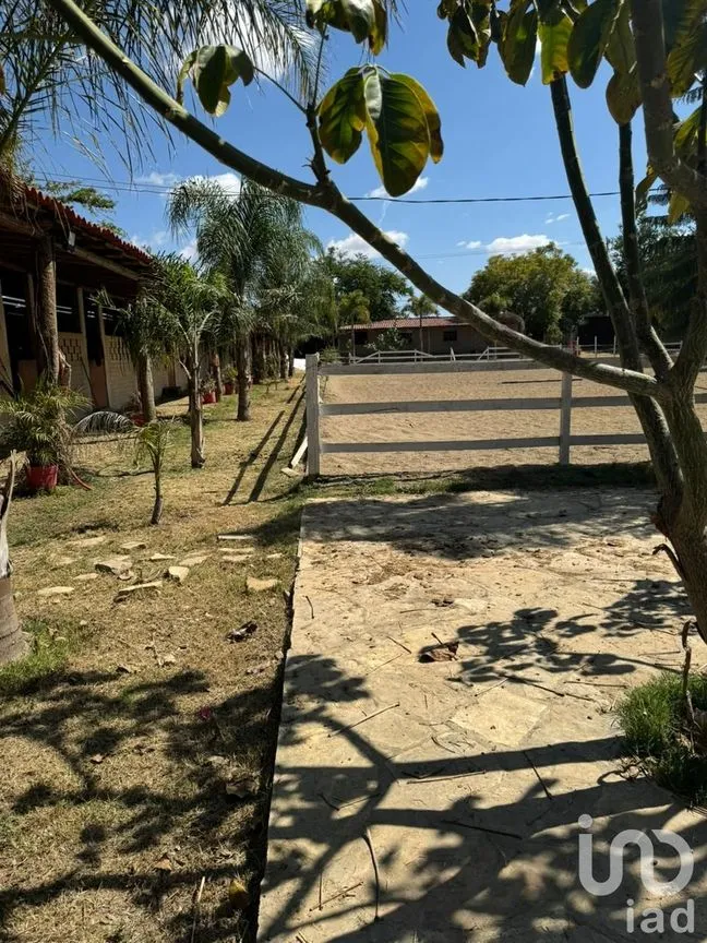 Terreno en Venta en La Trinidad, Tlalixtac de Cabrera, Oaxaca | NEX-236117 | iad México | Foto 11 de 13